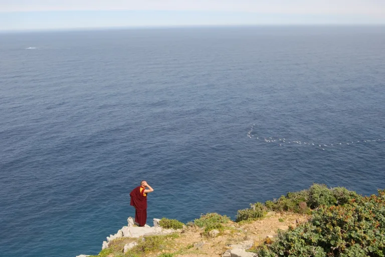 Cape Point, South Africa, 2011 (4)