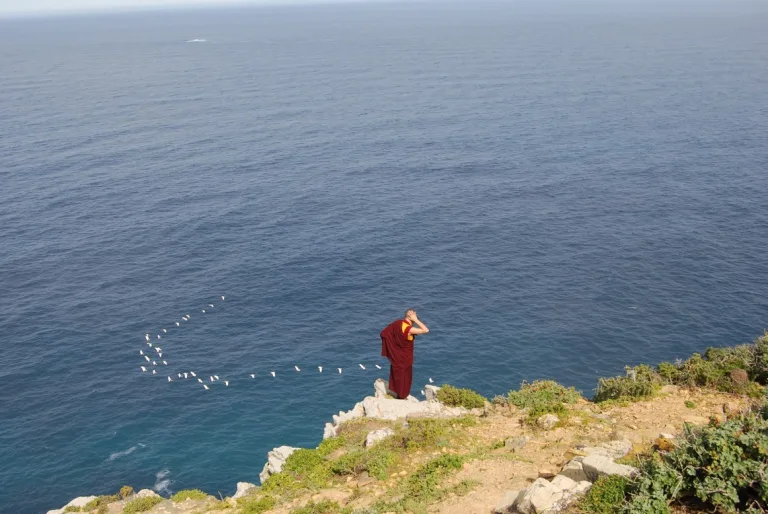 Cape Point, South Africa, 2011(2)